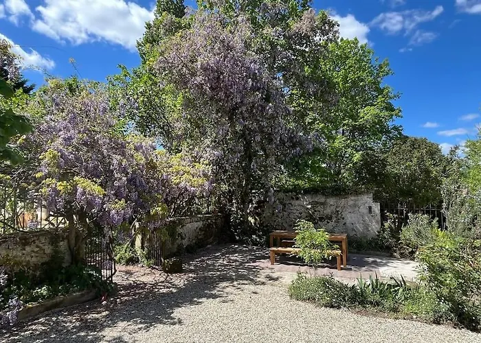 Glycine Pour 8 Personnes Avec Sauna Et Bain Nordique Capian