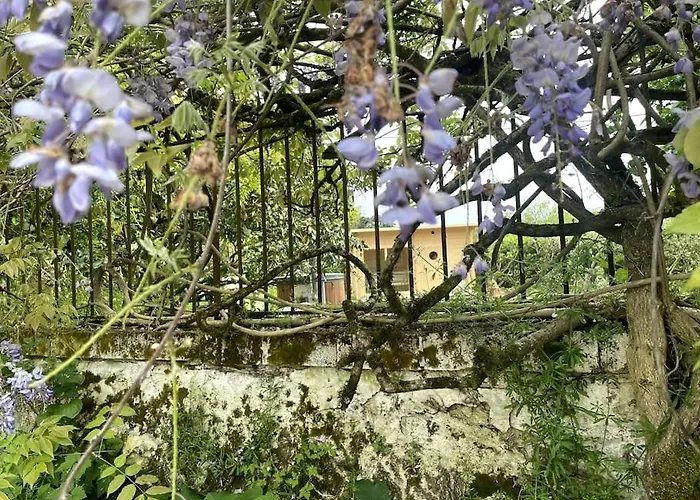 Glycine Pour 8 Personnes Avec Sauna Et Bain Nordique * Capian